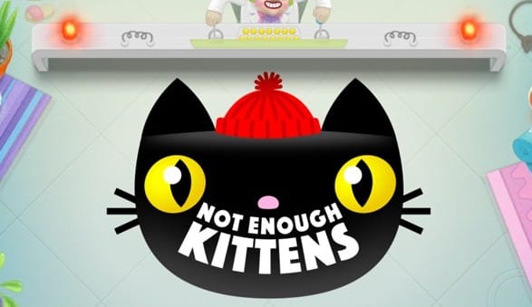 Not Enough Kittens